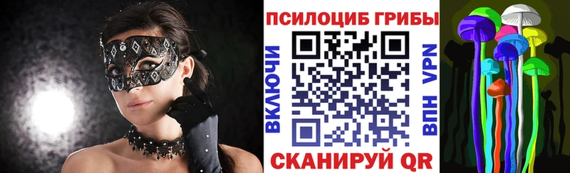 купить наркотик Чаплыгин Псилоцибиновые грибы мицелий